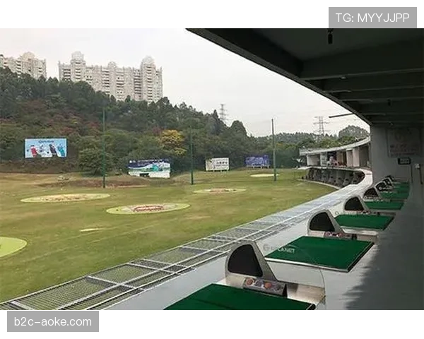 “一场保级战结束后，比赛集锦在车载娱乐系统与健身镜设备上的点播量分析报告出炉”